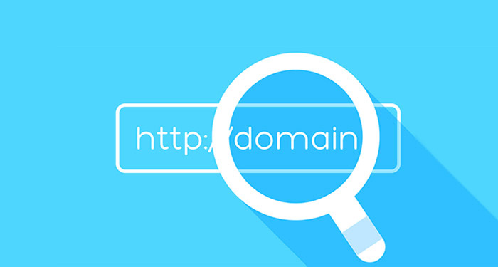 Domain Alımı Nedir? Nasıl Yapılır ?